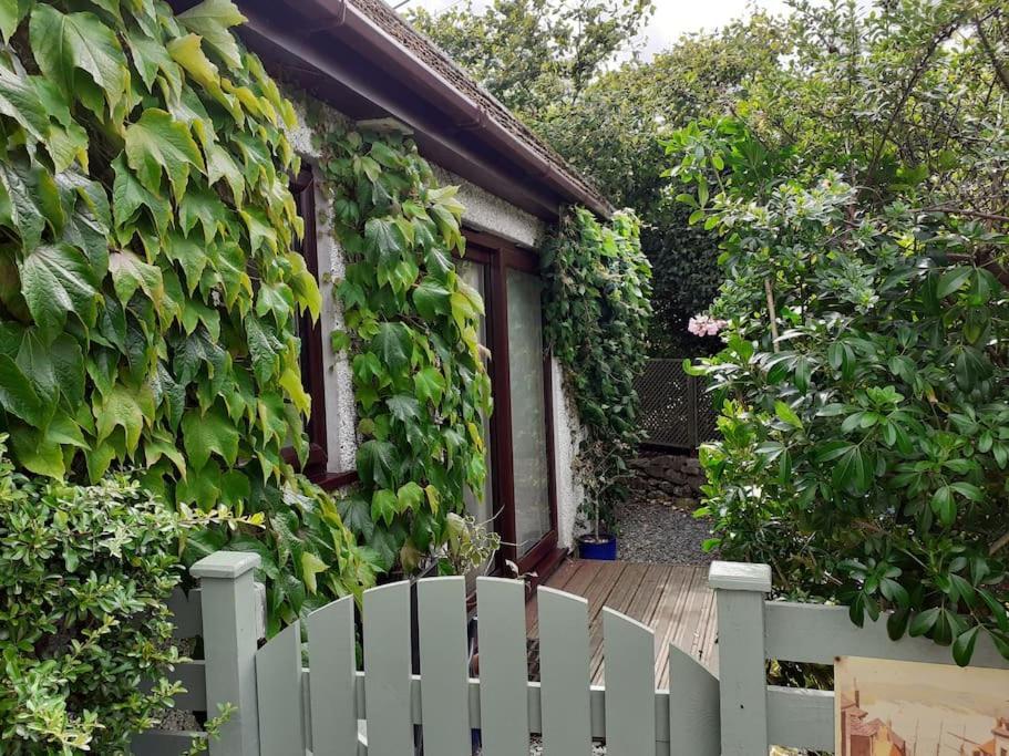 Oakey Orchard - Cosy Apartment In Tamar Valley, Cornwall Saint Dominick Eksteriør billede