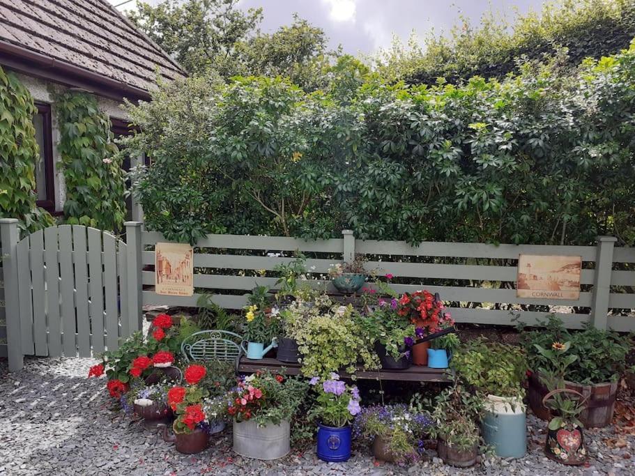Oakey Orchard - Cosy Apartment In Tamar Valley, Cornwall Saint Dominick Eksteriør billede